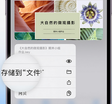 宁夏apple维修中心分享iPhone文件应用中存储和找到下载文件