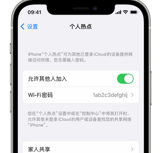 宁夏apple服务站点分享iPhone上个人热点丢失了怎么办 