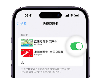 宁夏apple维修点分享iPhone上更换Apple Pay快捷交通卡手绘卡面 