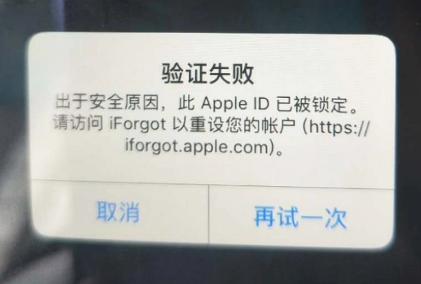 宁夏iPhone维修分享iPhone上正常登录或使用AppleID怎么办 