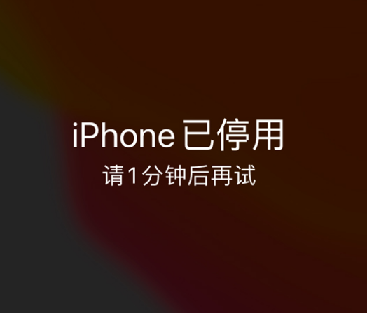 宁夏苹果手机维修分享:iPhone 显示“不可用”或“已停用”怎么办？还能保留数据吗？ 