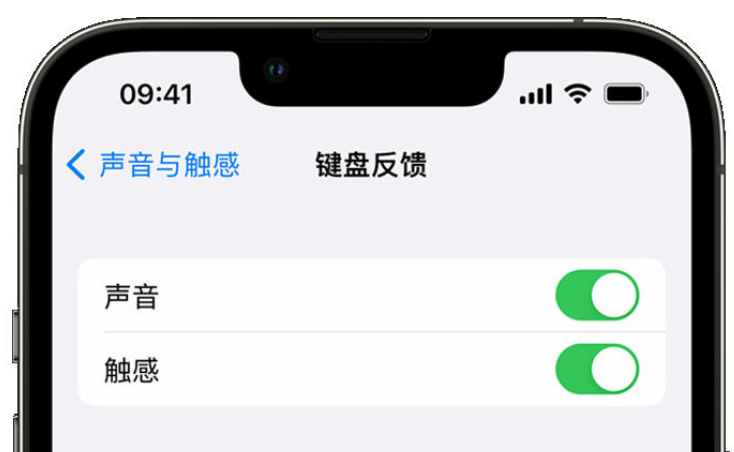 宁夏苹果手机维修分享iPhone 14触感键盘使用方法 