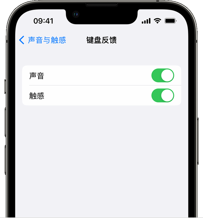 宁夏苹果14维修店分享如何在 iPhone 14 机型中使用触感键盘 