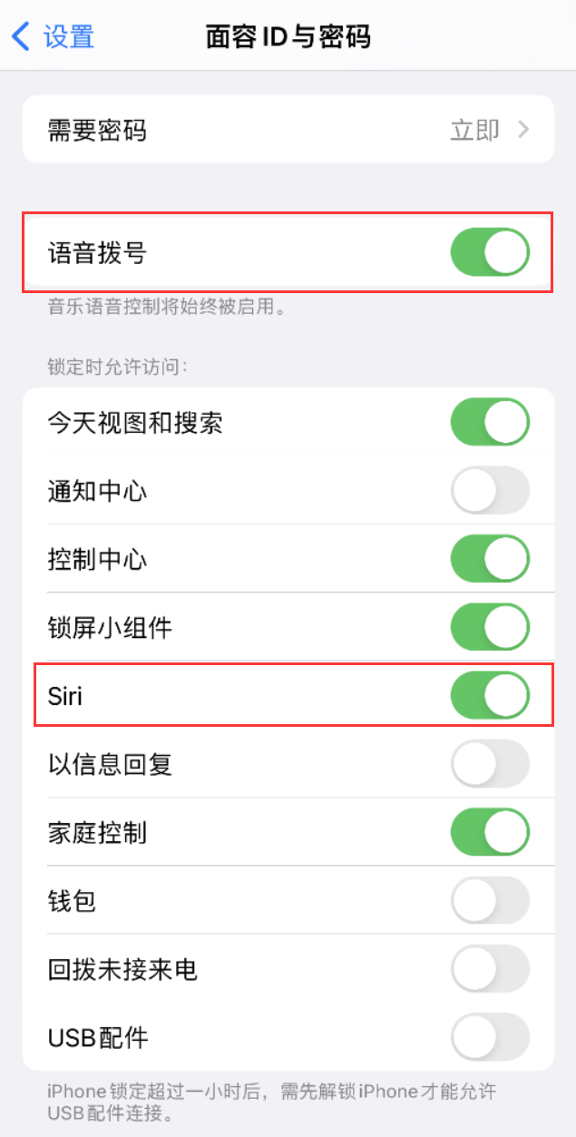 宁夏苹果维修网点分享不解锁 iPhone 的情况下通过 Siri 拨打电话的方法 