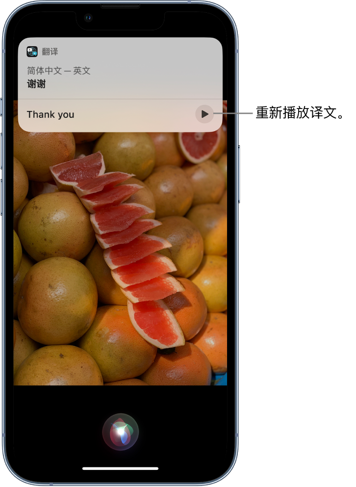 宁夏苹果14维修分享 iPhone 14 机型中使用 Siri：了解 Siri 能帮你做什么 