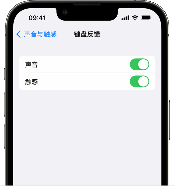 宁夏苹果14维修分享iPhone 14 系列机型如何开启键盘声音或触感反馈 