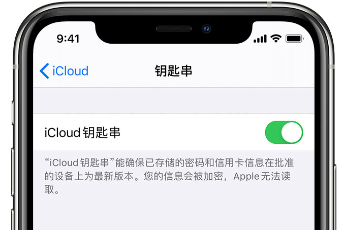 宁夏苹果手机维修分享在 iPhone 上开启 iCloud 钥匙串之后会储存哪些信息 