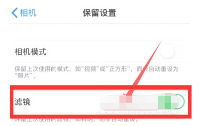 宁夏苹果13维修分享iPhone13拍照有绿点是怎么回事 
