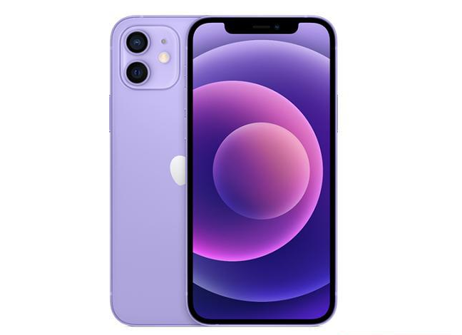 宁夏苹果手机维修分享现阶段要不要入手紫色版iPhone12 