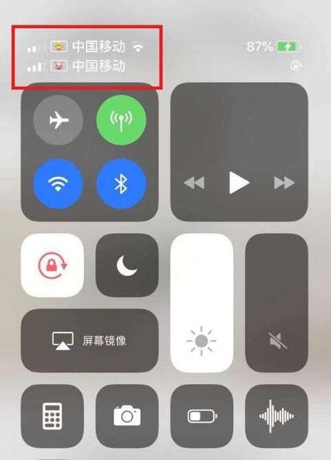 宁夏苹果手机维修分享为 iPhone 12 双卡设置标签 