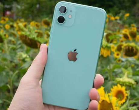 宁夏苹果维修点分享iPhone 11锁屏密码认知与使用科普 