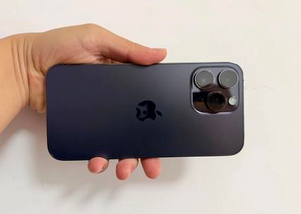 宁夏苹果维修点分享iPhone 14 Pro Max黑屏少见故障盘点 
